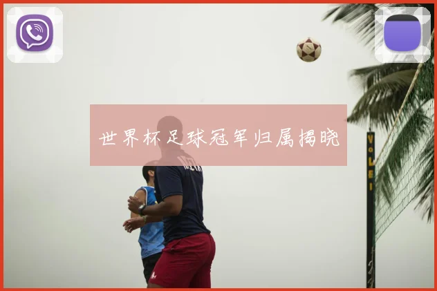 世界杯足球冠军归属揭晓