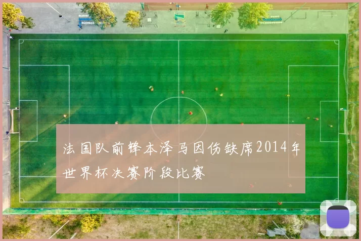法国队前锋本泽马因伤缺席2014年世界杯决赛阶段比赛