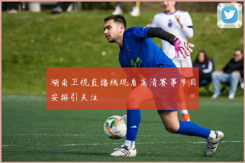 湖南卫视直播线观看高清赛事节目安排引关注