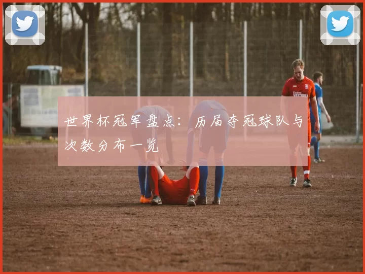 世界杯冠军盘点：历届夺冠球队与次数分布一览